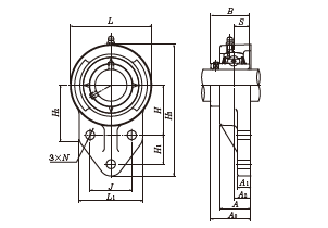 UCFH 204