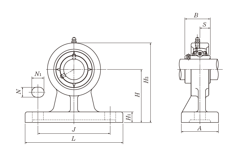UCHP 204